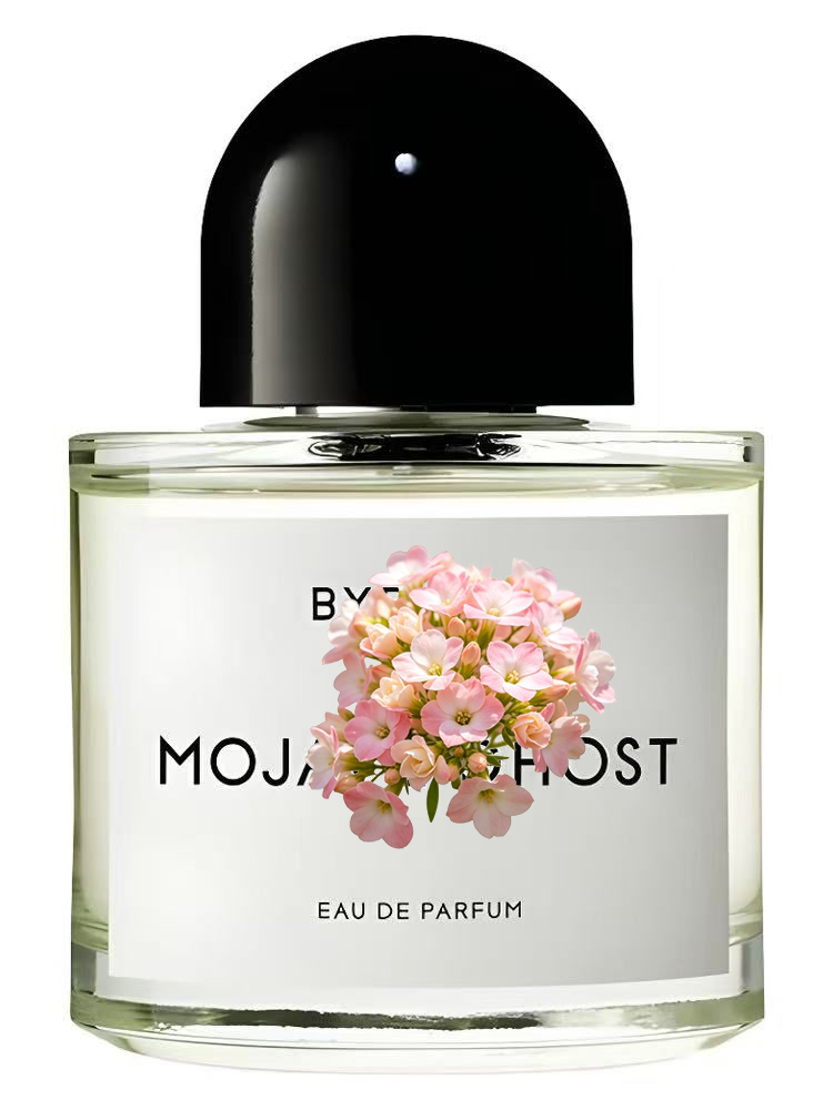 Unisex Eau de Parfum 100ml 3.4 - Perfume Xeryus ulasan dan harga